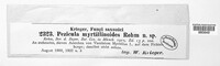Image of Remleria myrtillinoides